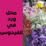 محل ورد في الفردوس