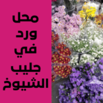 محل ورد في جليب الشيوخ